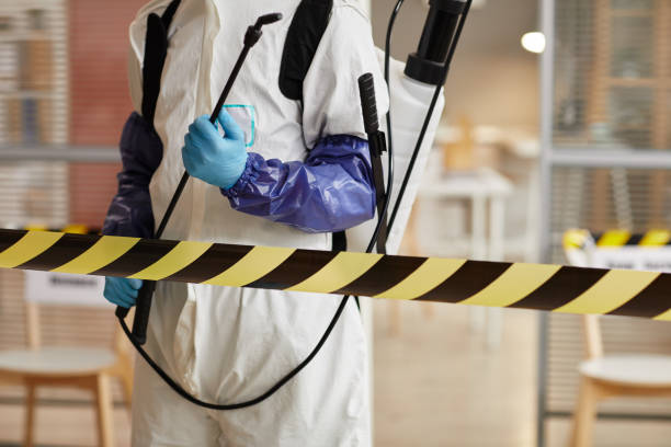 Professional Sewage Cleanup technician working in Weston, WI
